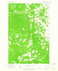 Blowout Mountain Montana Historical topographic map, 1:24000 scale, 7.5 X 7.5 Minute, Year 1963