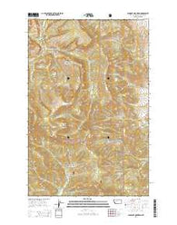 Blowout Mountain Montana Current topographic map, 1:24000 scale, 7.5 X 7.5 Minute, Year 2014