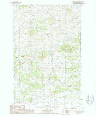 Blue Stone Peak Montana Historical topographic map, 1:24000 scale, 7.5 X 7.5 Minute, Year 1987