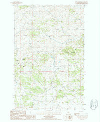 Blue Stone Peak Montana Historical topographic map, 1:24000 scale, 7.5 X 7.5 Minute, Year 1987