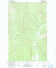 Bonnet Top Montana Historical topographic map, 1:24000 scale, 7.5 X 7.5 Minute, Year 1963