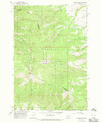 Boulder Baldy Montana Historical topographic map, 1:24000 scale, 7.5 X 7.5 Minute, Year 1966