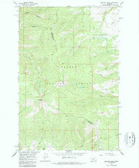 Boulder Baldy Montana Historical topographic map, 1:24000 scale, 7.5 X 7.5 Minute, Year 1966