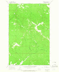 Bowen Lake Montana Historical topographic map, 1:24000 scale, 7.5 X 7.5 Minute, Year 1963