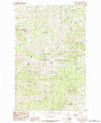 Bowery Peak Montana Historical topographic map, 1:24000 scale, 7.5 X 7.5 Minute, Year 1984