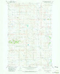 Bracket Butte SE Montana Historical topographic map, 1:24000 scale, 7.5 X 7.5 Minute, Year 1981