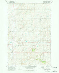 Bracket Butte Montana Historical topographic map, 1:24000 scale, 7.5 X 7.5 Minute, Year 1981