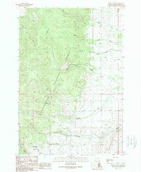 Brays Canyon Montana Historical topographic map, 1:24000 scale, 7.5 X 7.5 Minute, Year 1988