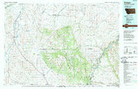 Bridger Montana Historical topographic map, 1:100000 scale, 30 X 60 Minute, Year 1989