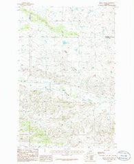 Briggs Coulee Montana Historical topographic map, 1:24000 scale, 7.5 X 7.5 Minute, Year 1986