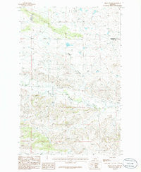 Briggs Coulee Montana Historical topographic map, 1:24000 scale, 7.5 X 7.5 Minute, Year 1986