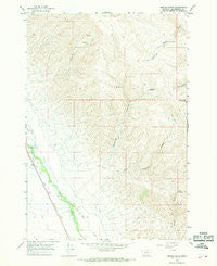 Briggs Ranch Montana Historical topographic map, 1:24000 scale, 7.5 X 7.5 Minute, Year 1965