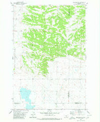 Broadview NE Montana Historical topographic map, 1:24000 scale, 7.5 X 7.5 Minute, Year 1980
