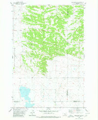 Broadview NE Montana Historical topographic map, 1:24000 scale, 7.5 X 7.5 Minute, Year 1980