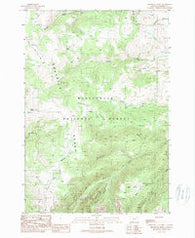 Broomtail Ridge Montana Historical topographic map, 1:24000 scale, 7.5 X 7.5 Minute, Year 1988