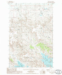 Brown Pass Montana Historical topographic map, 1:24000 scale, 7.5 X 7.5 Minute, Year 1985