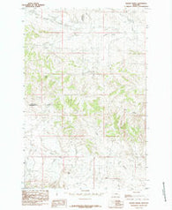 Brown Spring Montana Historical topographic map, 1:24000 scale, 7.5 X 7.5 Minute, Year 1985