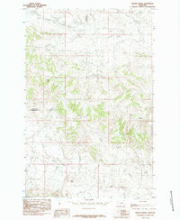 Brown Spring Montana Historical topographic map, 1:24000 scale, 7.5 X 7.5 Minute, Year 1985