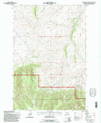 Browns Canyon Montana Historical topographic map, 1:24000 scale, 7.5 X 7.5 Minute, Year 1995