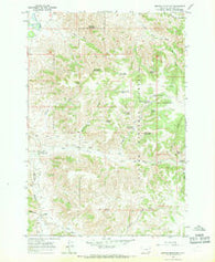 Browns Mountain Montana Historical topographic map, 1:24000 scale, 7.5 X 7.5 Minute, Year 1966