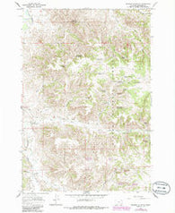Browns Mountain Montana Historical topographic map, 1:24000 scale, 7.5 X 7.5 Minute, Year 1966