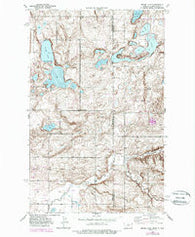 Brush Lake Montana Historical topographic map, 1:24000 scale, 7.5 X 7.5 Minute, Year 1946
