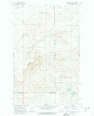 Brush Mountain Montana Historical topographic map, 1:24000 scale, 7.5 X 7.5 Minute, Year 1974