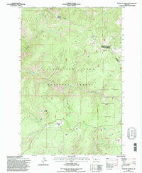 Bubbling Springs Montana Historical topographic map, 1:24000 scale, 7.5 X 7.5 Minute, Year 1995