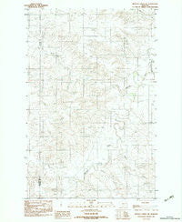 Buffalo Creek NE Montana Historical topographic map, 1:24000 scale, 7.5 X 7.5 Minute, Year 1983