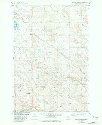 Buffalo Reservoir Montana Historical topographic map, 1:24000 scale, 7.5 X 7.5 Minute, Year 1981