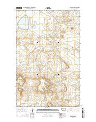 Buffalo Lake Montana Current topographic map, 1:24000 scale, 7.5 X 7.5 Minute, Year 2014