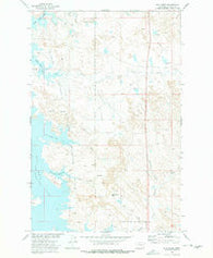 Bug Creek Montana Historical topographic map, 1:24000 scale, 7.5 X 7.5 Minute, Year 1973