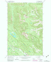 Bull Lake Montana Historical topographic map, 1:24000 scale, 7.5 X 7.5 Minute, Year 1966