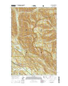 Bull Lake Montana Current topographic map, 1:24000 scale, 7.5 X 7.5 Minute, Year 2014