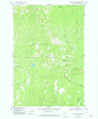 Burnt Fork Lake Montana Historical topographic map, 1:24000 scale, 7.5 X 7.5 Minute, Year 1974