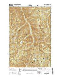 Burnt Fork Lake Montana Current topographic map, 1:24000 scale, 7.5 X 7.5 Minute, Year 2014