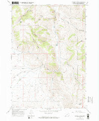 Caboose Canyon Montana Historical topographic map, 1:24000 scale, 7.5 X 7.5 Minute, Year 1965