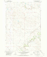 Cactus Creek West Montana Historical topographic map, 1:24000 scale, 7.5 X 7.5 Minute, Year 1980