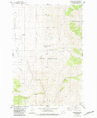 Camas Prairie Montana Historical topographic map, 1:24000 scale, 7.5 X 7.5 Minute, Year 1984