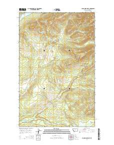 Camas Ridge West Montana Current topographic map, 1:24000 scale, 7.5 X 7.5 Minute, Year 2014