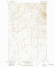 Cameron Lake Montana Historical topographic map, 1:24000 scale, 7.5 X 7.5 Minute, Year 1962