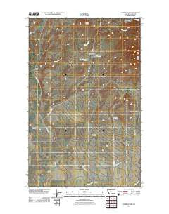 Cameron Lake Montana Historical topographic map, 1:24000 scale, 7.5 X 7.5 Minute, Year 2011