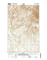 Cameron Lake Montana Current topographic map, 1:24000 scale, 7.5 X 7.5 Minute, Year 2014