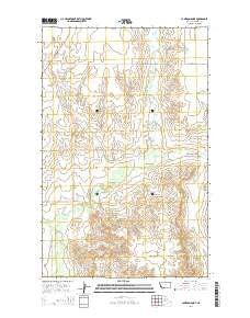 Cameron Point Montana Current topographic map, 1:24000 scale, 7.5 X 7.5 Minute, Year 2014