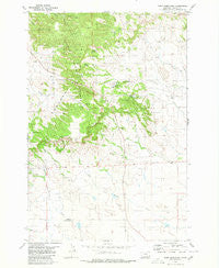 Camp Needmore Montana Historical topographic map, 1:24000 scale, 7.5 X 7.5 Minute, Year 1980
