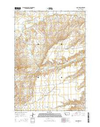 Camp Four Montana Current topographic map, 1:24000 scale, 7.5 X 7.5 Minute, Year 2014