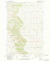 Cap Rock Montana Historical topographic map, 1:24000 scale, 7.5 X 7.5 Minute, Year 1981