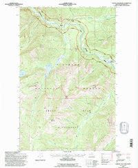 Capitol Mountain Montana Historical topographic map, 1:24000 scale, 7.5 X 7.5 Minute, Year 1994