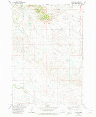 Capitol NW Montana Historical topographic map, 1:24000 scale, 7.5 X 7.5 Minute, Year 1980