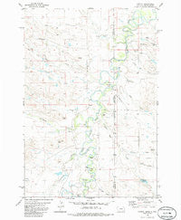 Capitol Montana Historical topographic map, 1:24000 scale, 7.5 X 7.5 Minute, Year 1980